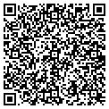 QR code with Azlon contacts