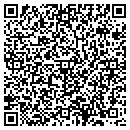 QR code with BM TAX Services contacts