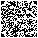 QR code with Pyrotecnico Of Florida contacts