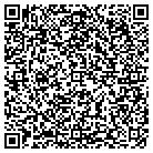 QR code with Professional Improvements contacts