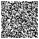 QR code with Public Storage contacts