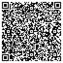 QR code with Cyber Space Lazer Tag contacts