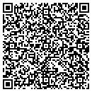 QR code with Project Formations contacts