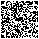 QR code with Premier Chemicals LLC contacts