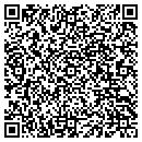 QR code with Prizm Inc contacts