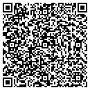 QR code with Cerebral Image Studio contacts
