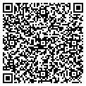 QR code with Detailing By Domain contacts