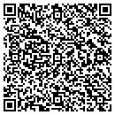 QR code with Cobra Management LLC contacts