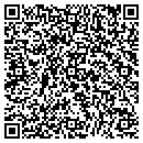 QR code with Precise Alloys contacts