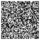 QR code with Puricle Inc contacts