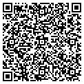 QR code with Tmscollc contacts