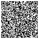 QR code with Ptg Silicones Inc contacts