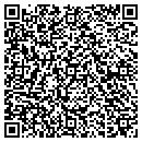 QR code with Cue Technologies Inc contacts