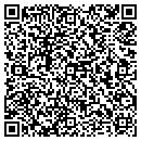 QR code with BluRyder Technologies contacts