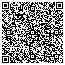 QR code with Carney's Plastering contacts