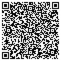 QR code with Ams contacts