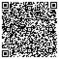 QR code with Ams contacts