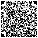 QR code with Premier Home Video contacts