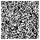 QR code with pulse-bactexas contacts