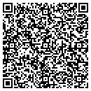 QR code with Publish Consulting contacts
