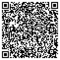 QR code with H Vmi contacts