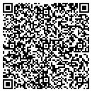 QR code with Precise Media Service contacts