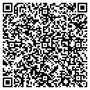 QR code with Process Systems Inc contacts