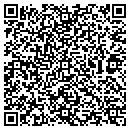 QR code with Premier Foundation Inc contacts