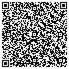 QR code with Blue Ridge Visual Communications Inc contacts