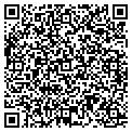 QR code with C Wood contacts