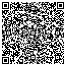 QR code with Baldwin Apple Ladders contacts