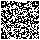 QR code with Propeller Dynamics contacts