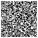 QR code with Punch-Lok CO contacts