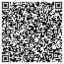 QR code with Punch-Lok Co contacts