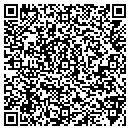 QR code with Professional Mechanic contacts
