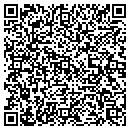QR code with Pricerock Com contacts