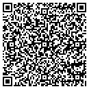 QR code with Blue Giraffe Designs contacts
