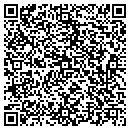 QR code with Premier Impressions contacts