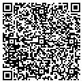 QR code with Alley contacts