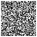 QR code with Blue Ridge Rods contacts
