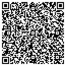 QR code with Consitrium Group Inc contacts