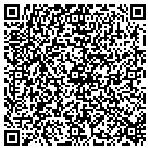 QR code with Baldwin Hill Body & Paint contacts