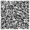 QR code with Pristine Pools contacts