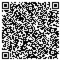 QR code with Ancosys contacts