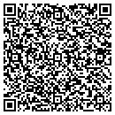 QR code with Blue Olive Consulting contacts