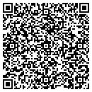 QR code with Brian's Auto Sales contacts