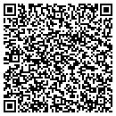 QR code with Carters Auto Sales contacts