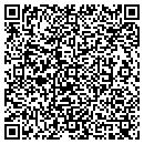 QR code with Premise contacts