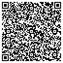 QR code with Pro Ad Insight contacts