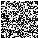 QR code with Blueric Software LLC contacts